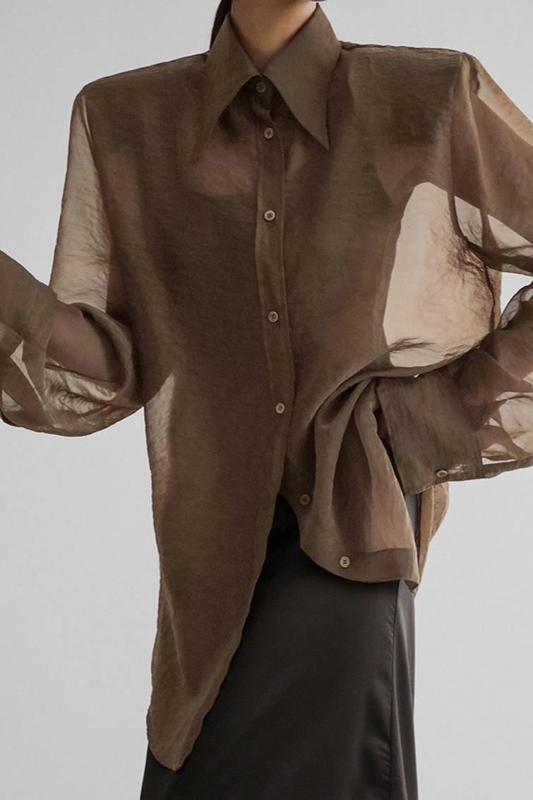 Mesh Sheer Long-sleeve Loose Blouse