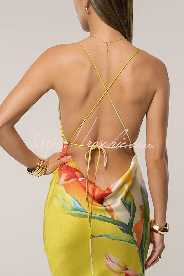 Luisa Satin Print Cowl Neck Open Back Tie-up Maxi Dress