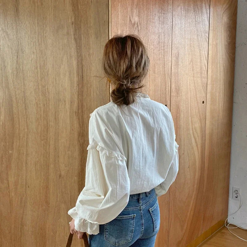 Spring Loose Lantern Sleeve Blouse