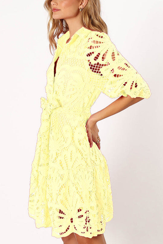 Color Lace Cutout Balloon Sleeves and Waist Tie Mini Dress