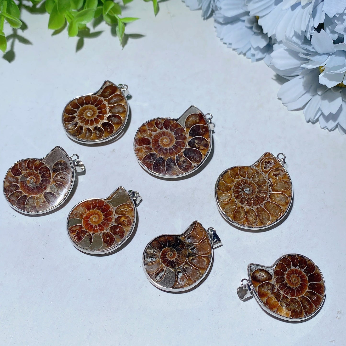 1.3-1.6 Inch Ammonite Spiral Pendant for Spiritual Protection
