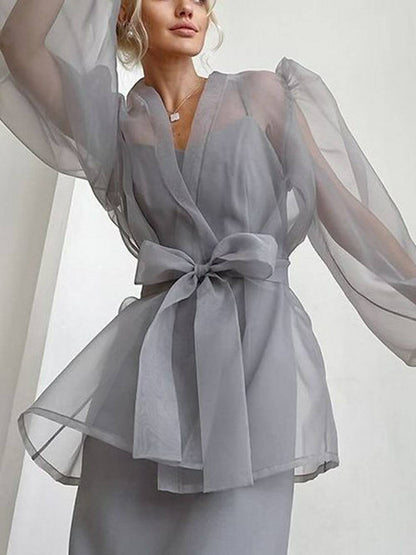 Sheer Top V Neck Long Puff Sleeves Bow Tie Blouse