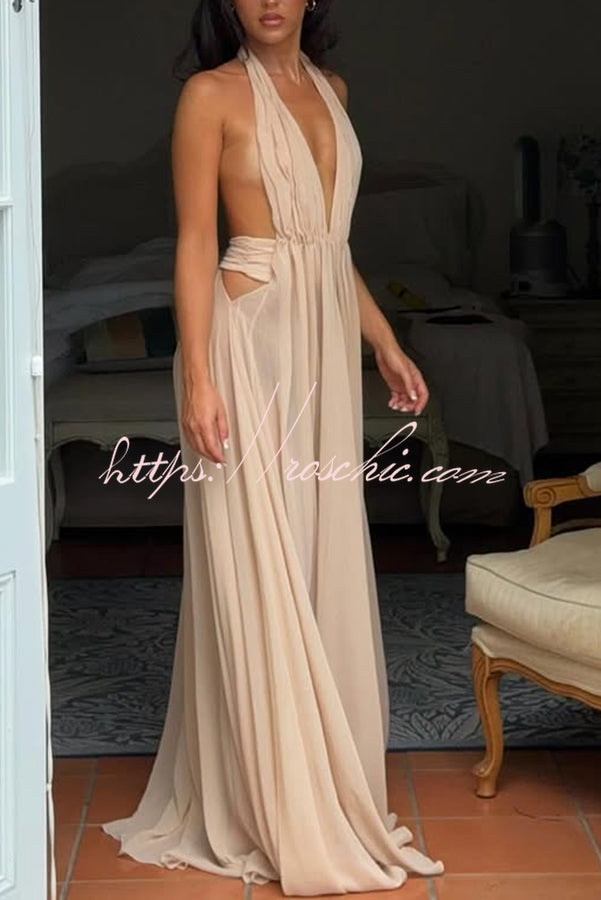 Ethereal Moment Tulle Cutout Ruched Waist Backless Halter Maxi Dress