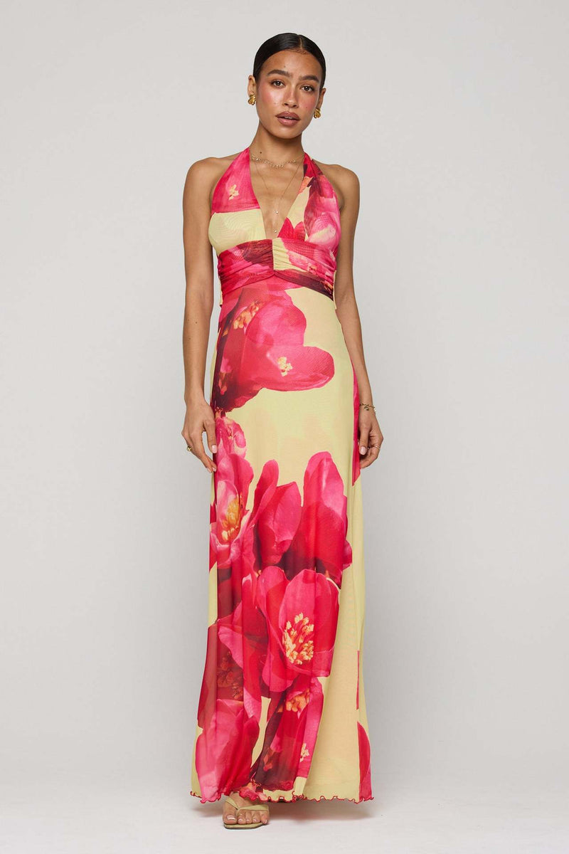 Camoni Polka Dot Diary Maxi Dress