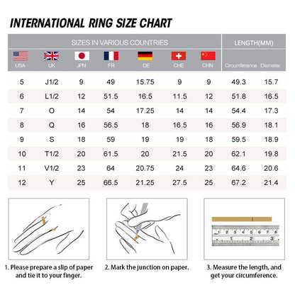925 Sterling Silver Copper Coins Wealth Blessing Adjustable Spiritual Ring