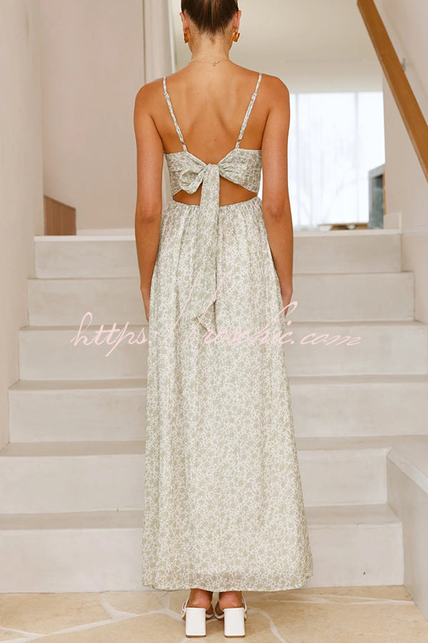 Print V-neck Sleeveless Back Tie Pocket Maxi Dress
