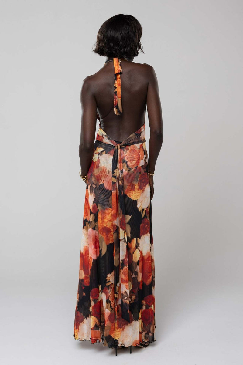 Camoni Polka Dot Diary Maxi Dress