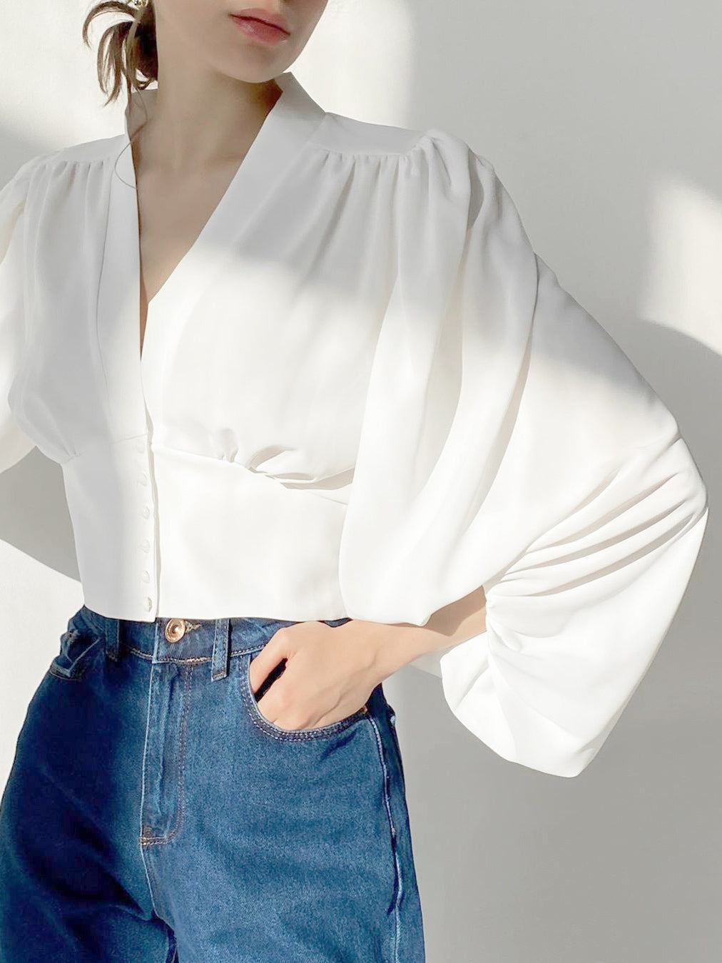 Lantern Sleeve V-neck Slim Fit Blouse