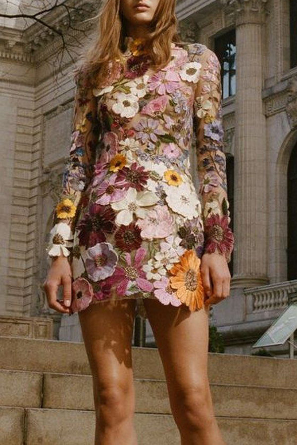 Elegantly Enchanted Applique Backless Long Sleeve Mini Dress