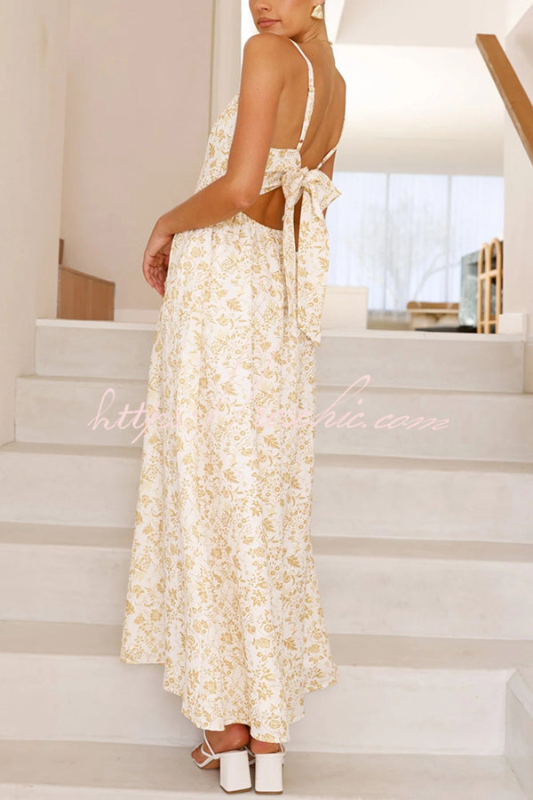 Print V-neck Sleeveless Back Tie Pocket Maxi Dress