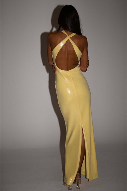 Backless Sequin Maxi Dress
