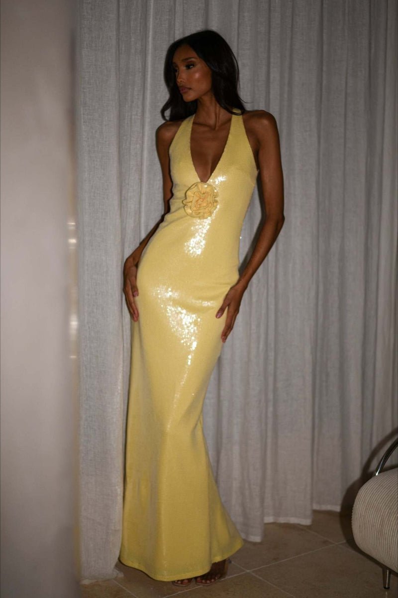 Backless Sequin Maxi Dress