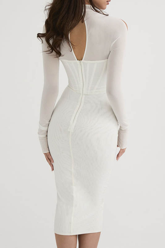 Mesh Long Sleeve Baddie Maxi Dress