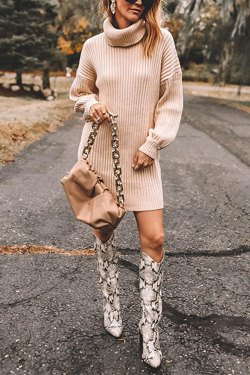 Turtleneck Long Sleeves Ribbed Knit Sweater Dress(in 7 Colors!)