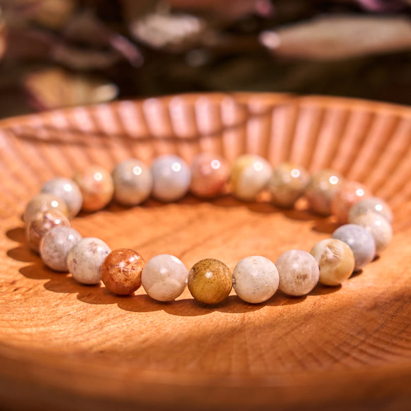 8-9mm Fossil Coral Compassion Bracelet for Self-esteem & Strength