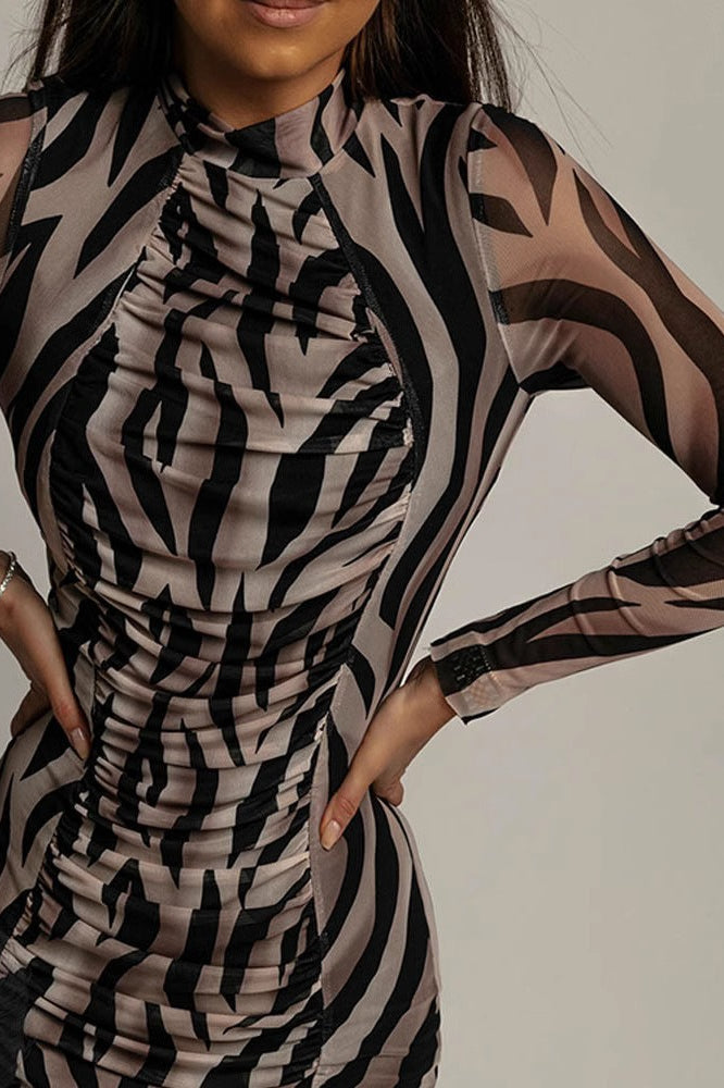 Print Ruched Mesh Long Sleeve Bodycon Maxi Dress
