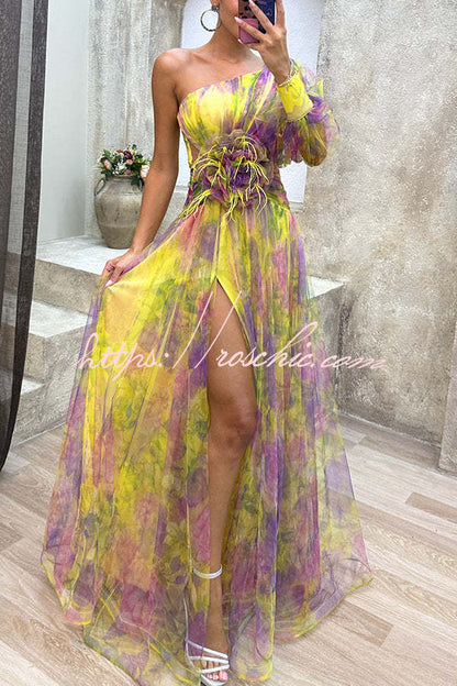 Picturesque Beauty Tulle Pleated One Shoulder Sleeve Slit Maxi Dress