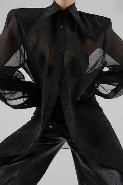 Mesh Sheer Long-sleeve Loose Blouse