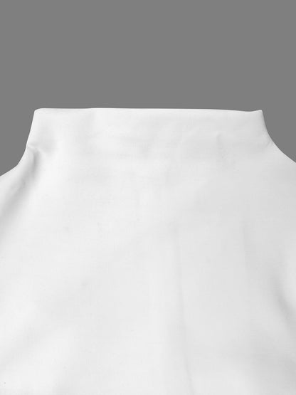 Flared Sleeves Long Sleeves Color Stand Collar Mini Dresses