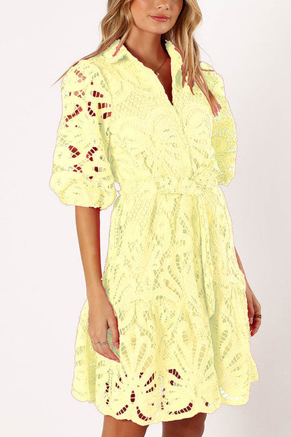 Color Lace Cutout Balloon Sleeves and Waist Tie Mini Dress