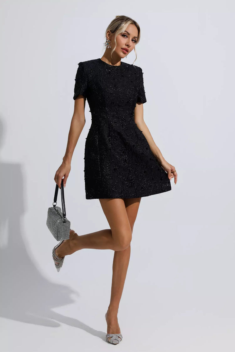 Astrid Black Jacquard Mini Dress