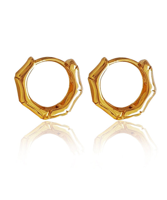 Gold Plated Hoop Earrings