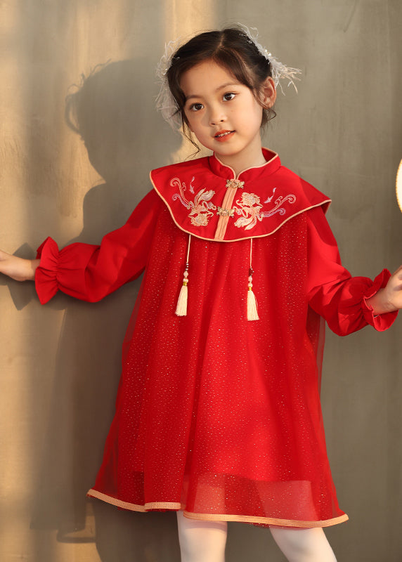 Chinese Style Pink Stand Collar Embroideried Long Dresses Lantern Sleeve Tv028