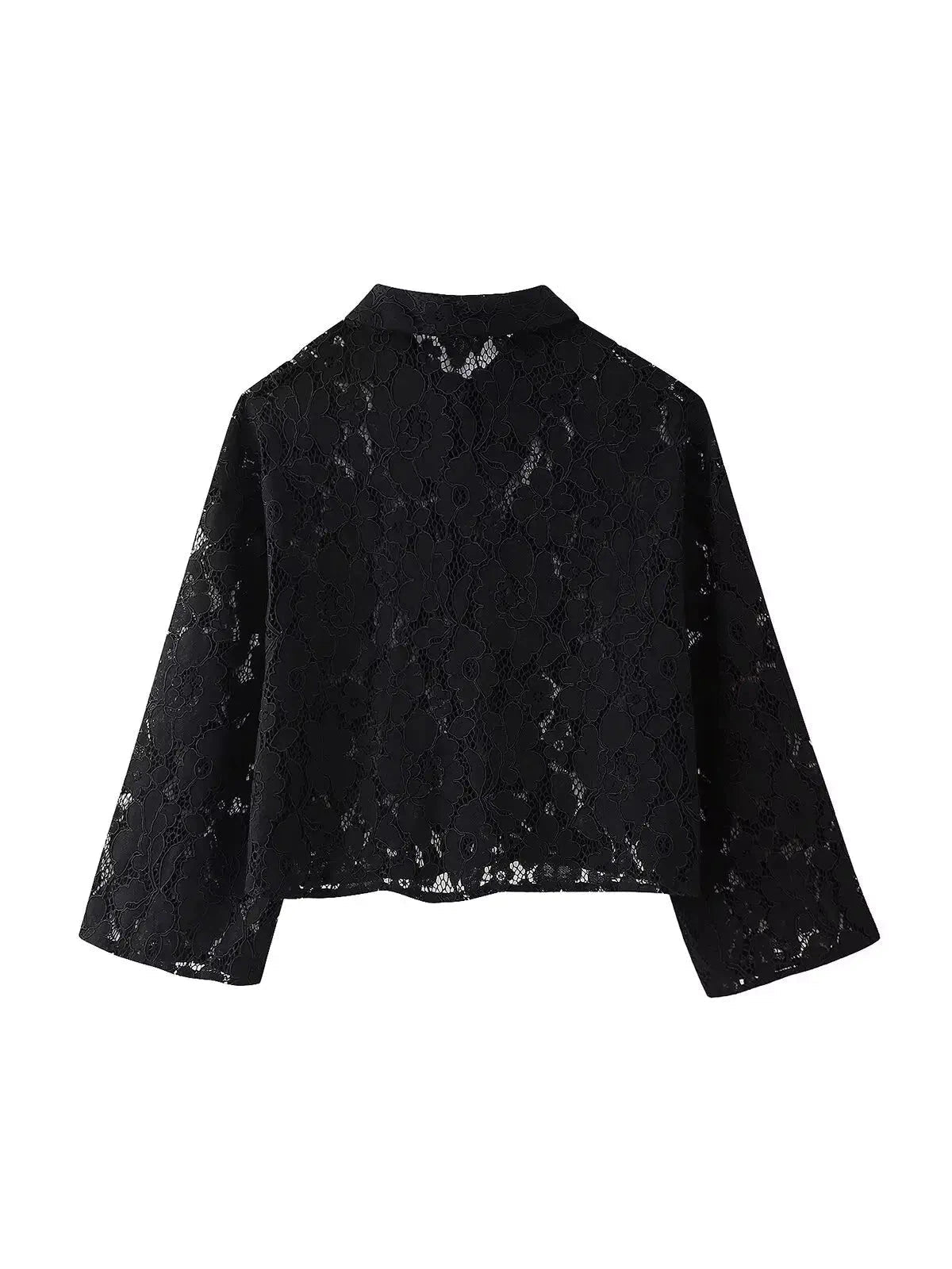 Lace Crochet Crop Shirt & Pant Coord Set
