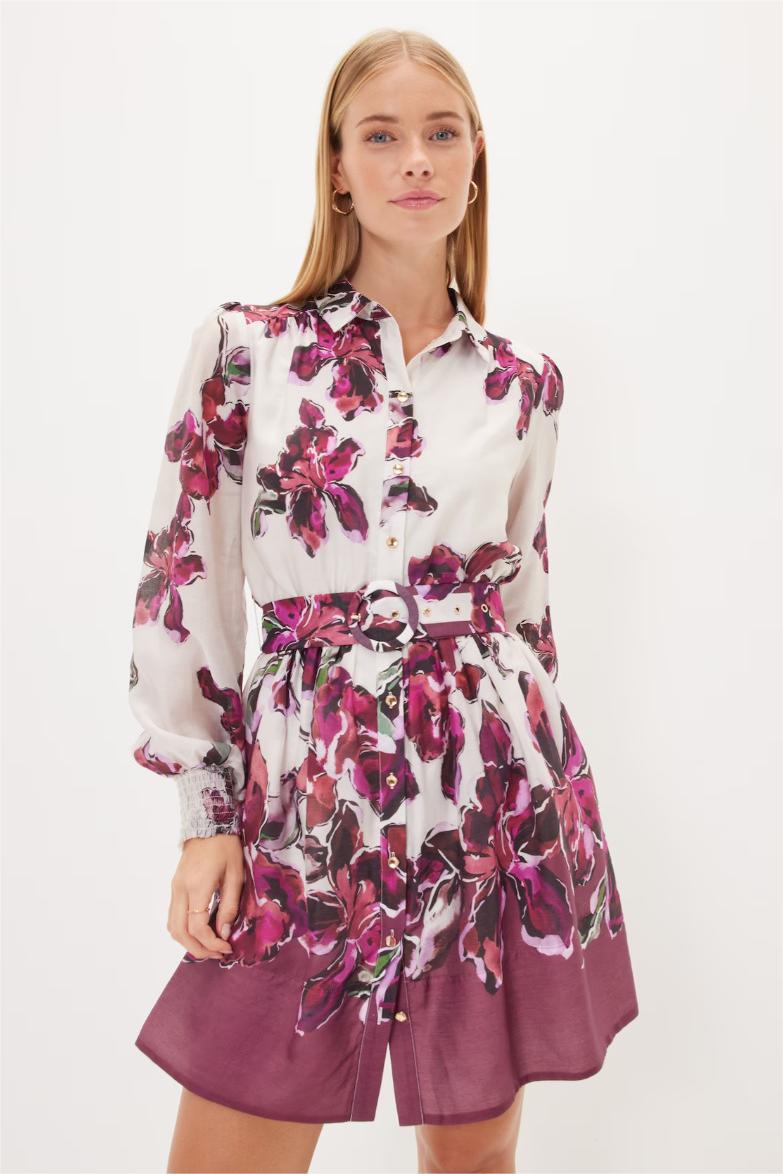 Long Sleeve Mini Dress With Belt