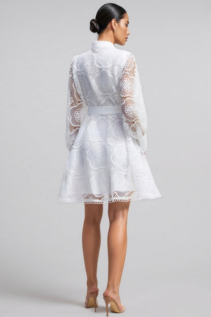Joanna Lace Lantern Sleeve Mini Dress