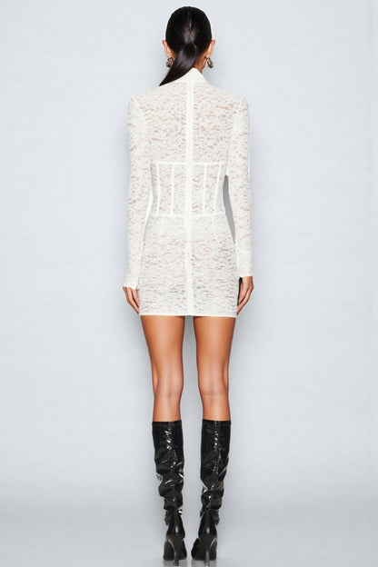 Emilsf Lace Jacquard Mini Dress