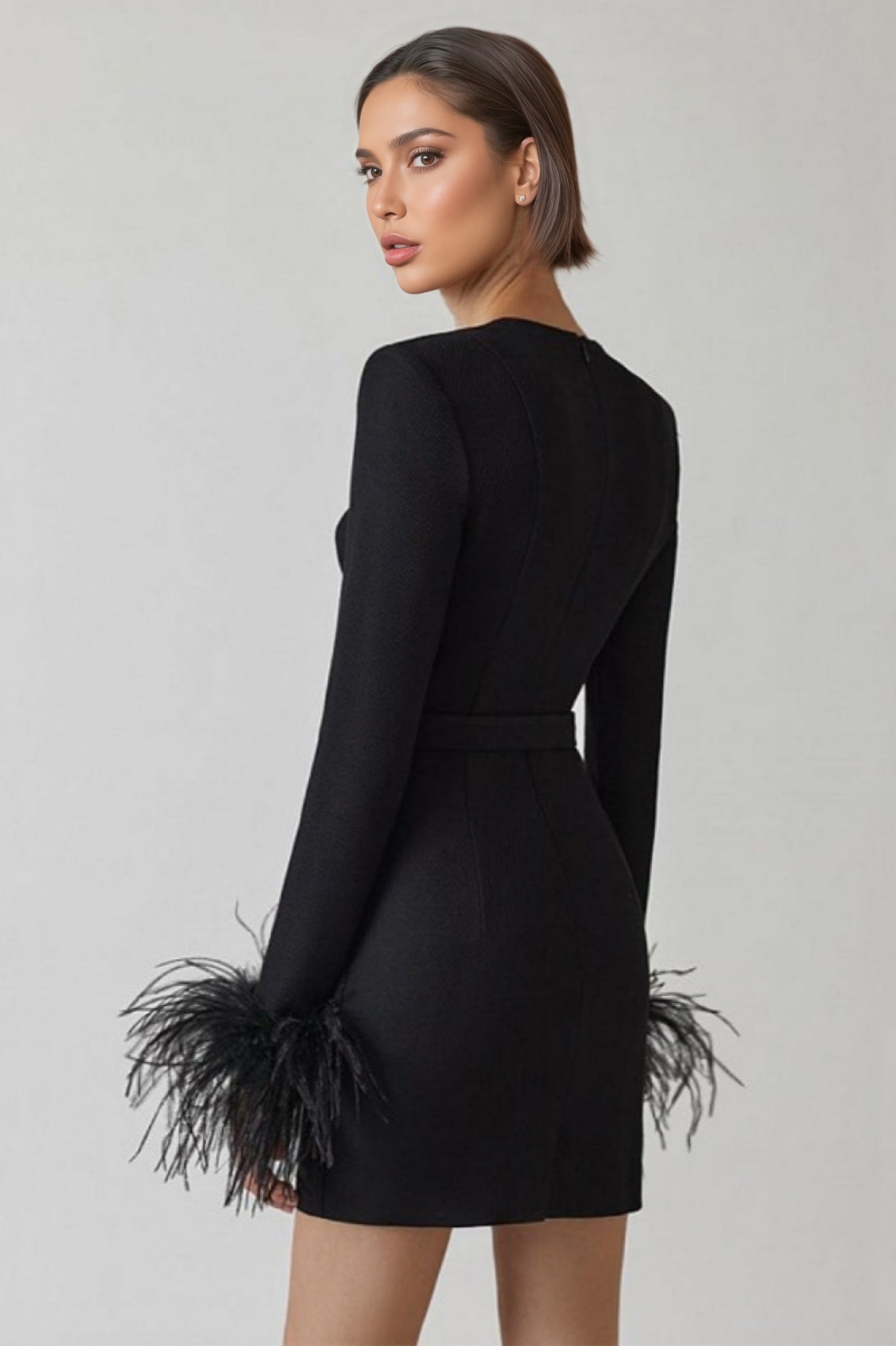 Delphinia Long Sleeve Feathers Mini Dress