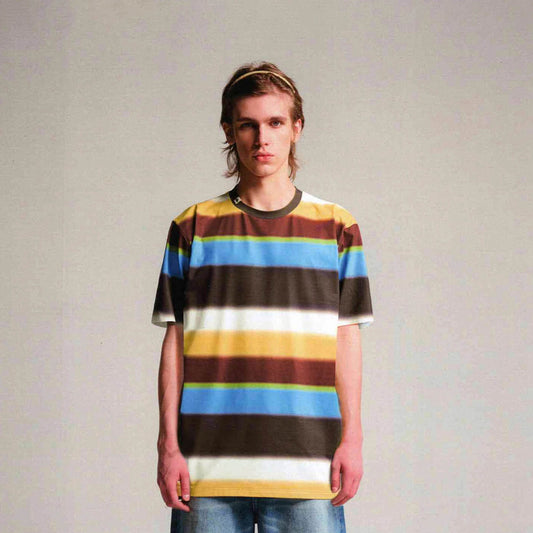 Multicolor Striped T-shirt