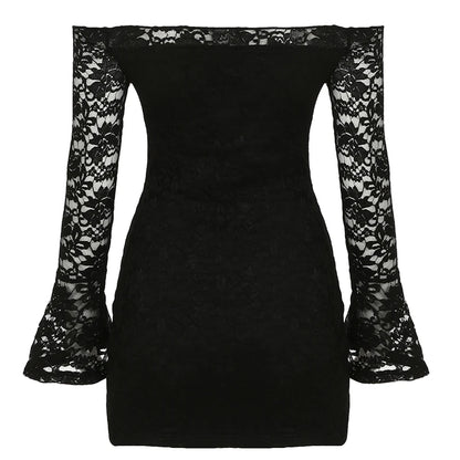 Lace Sheer Slim Fit ��s Dress Flared Long Sleeves Slash Neck Black Mini Dress