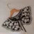 Korean Style Decorative Fake Collar Shawl Wrap Hollow Out Embroidery Sunflower Leaves Lace Necklace Short Poncho Capele