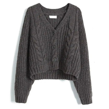 Long Sleeve Cardigan Crochet Sweater Autumn Winter Korean Vneck Single Breasted Short Tops