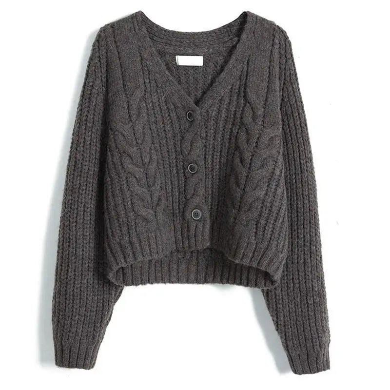 Long Sleeve Cardigan Crochet Sweater Autumn Winter Korean Vneck Single Breasted Short Tops