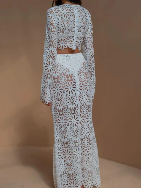 Crochet Hollow Out Long Sleeves Skirt & Blouse Coord Set
