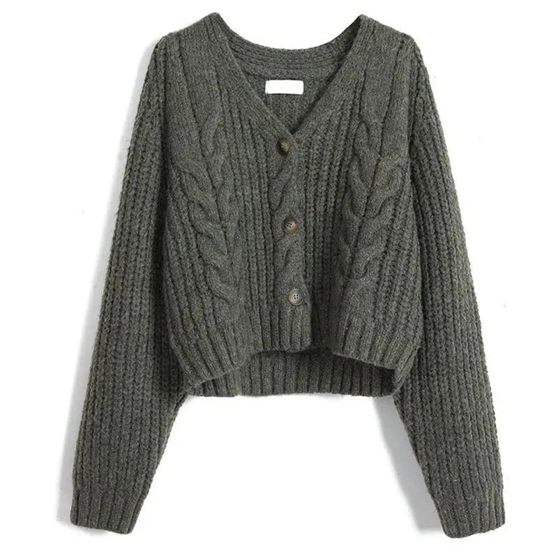 Long Sleeve Cardigan Crochet Sweater Autumn Winter Korean Vneck Single Breasted Short Tops