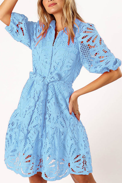 Color Lace Cutout Balloon Sleeves and Waist Tie Mini Dress