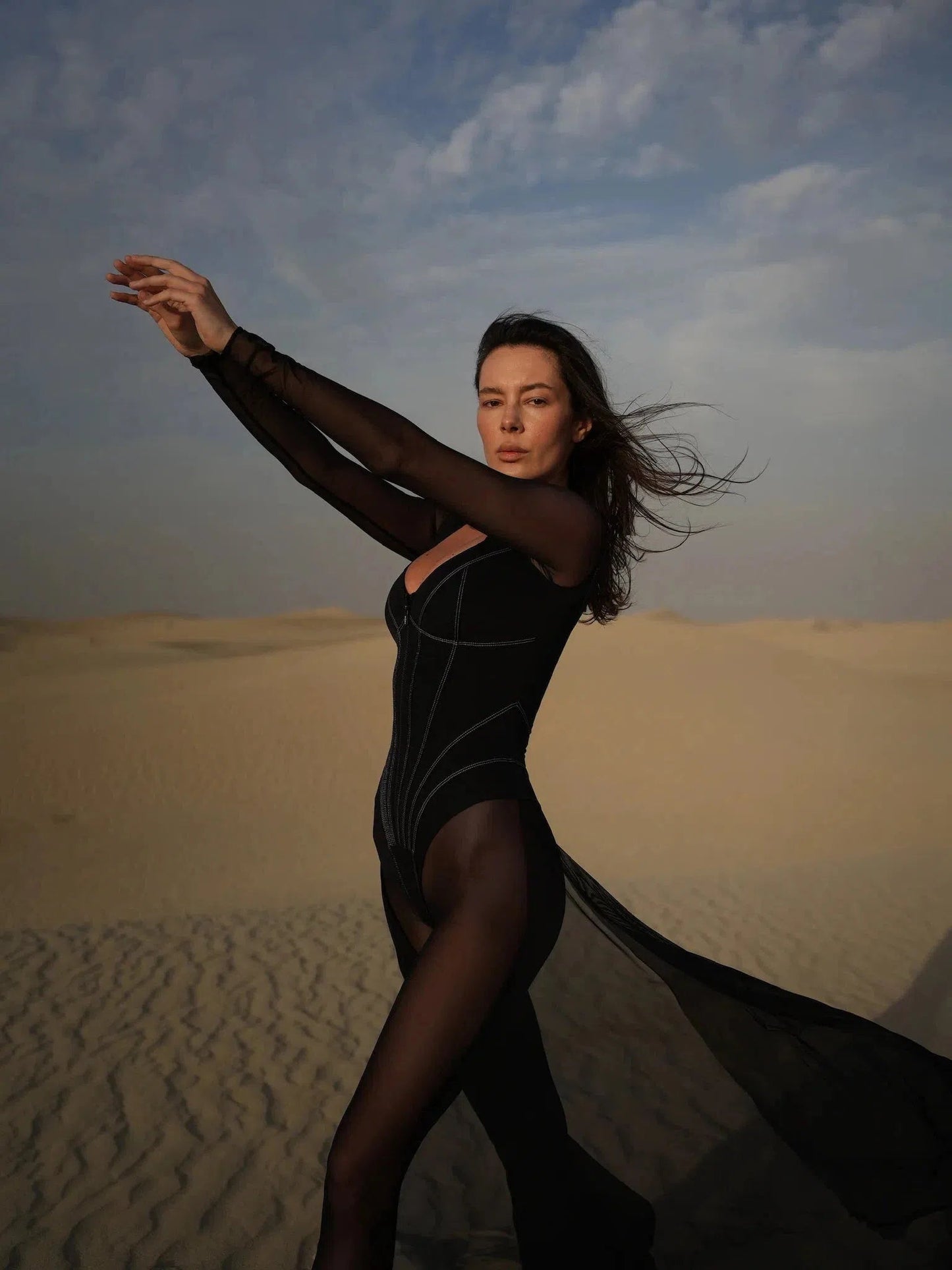 Mariam Full Sleeve Mesh See Through V Neck Jumpsuit