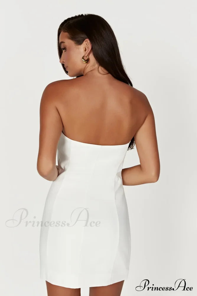 Brooks Rose Stylish Mini Dress