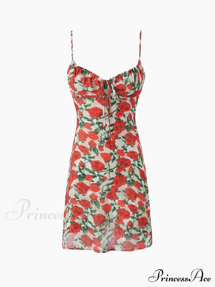 Bulgaria Roses Backless Mini Dress