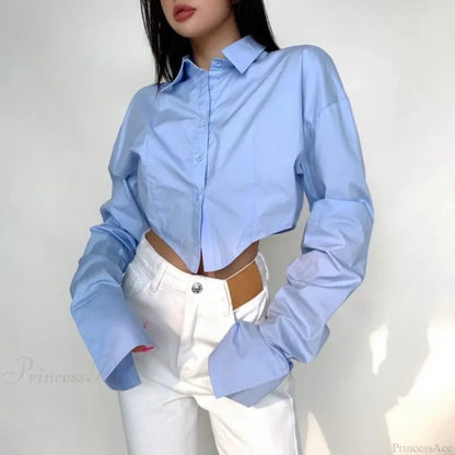 Single Breasted Turn Down Collar Short Sleeve Blouse