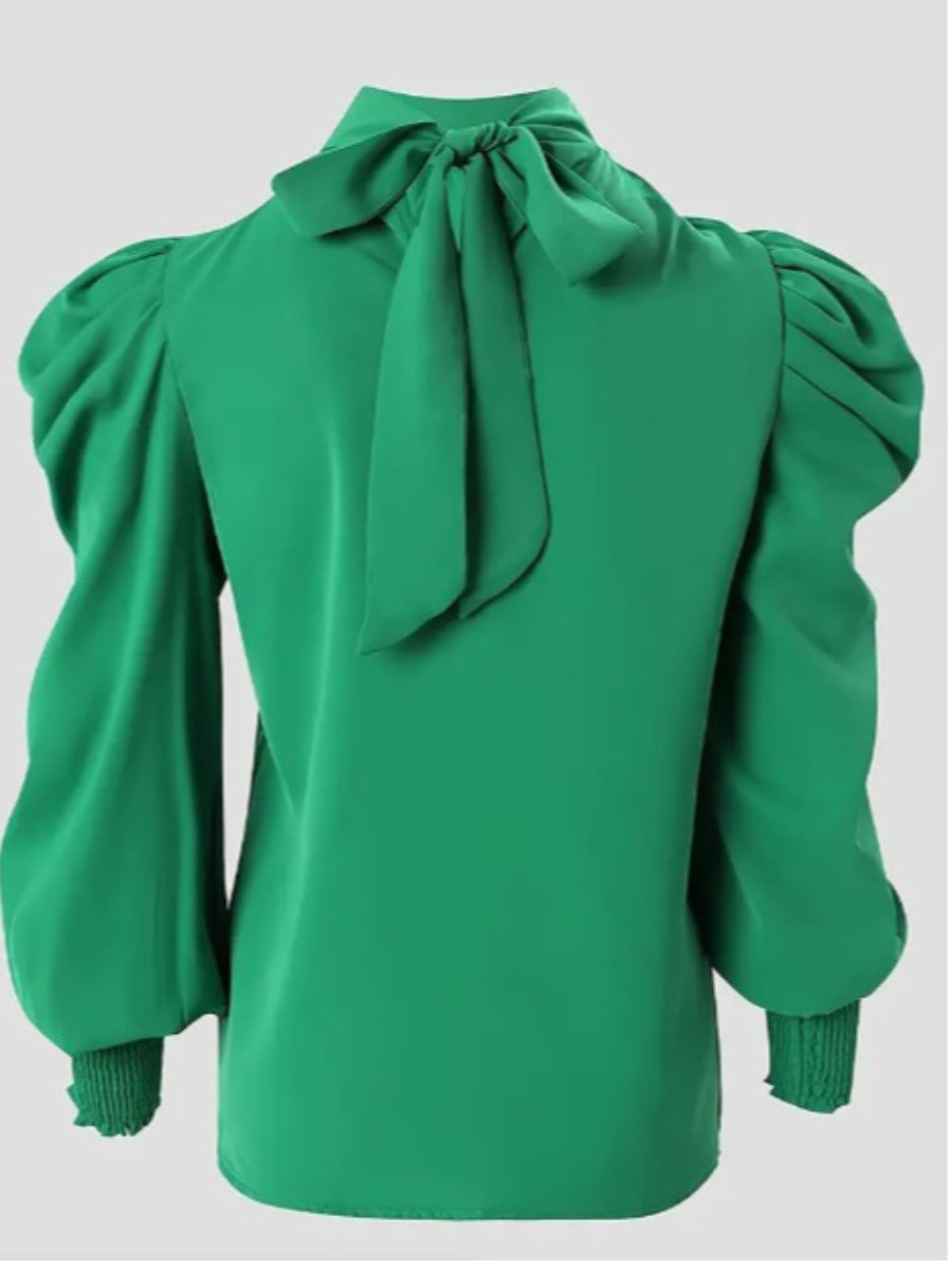 Turtleneck Ruffle Design Blouse Bo305