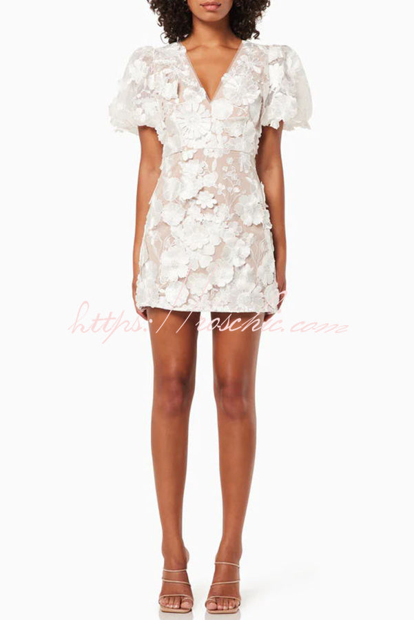 Garden Gala Embroidered Applique Puff Sleeve Mini Dress