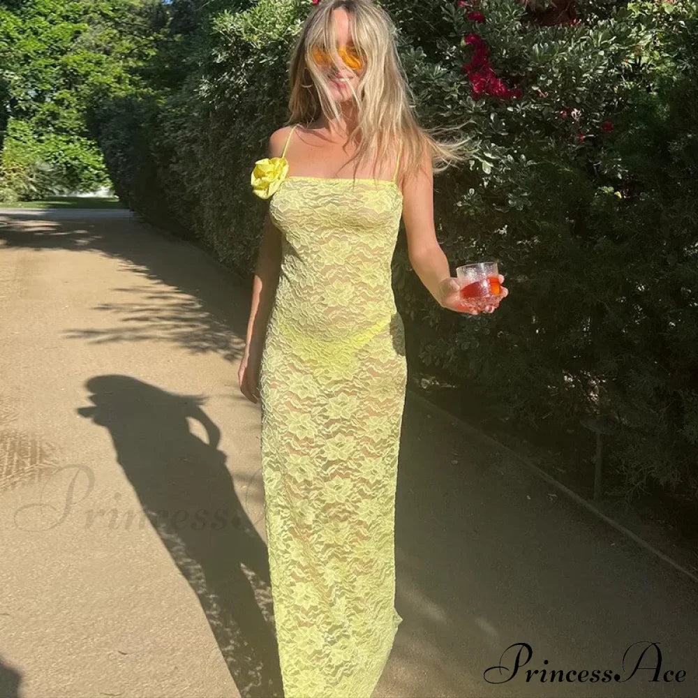 Sheer Lace Maxi Dress