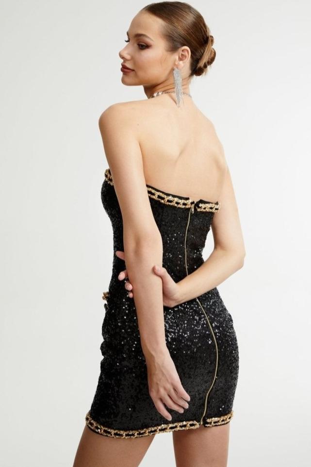Freda Embroidered Sequins Strapless Mini Dress