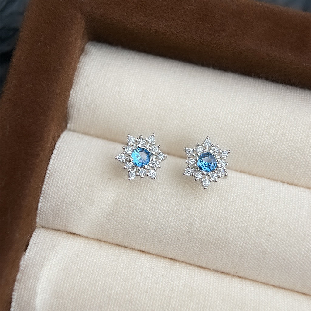 Frosted Snowflake Earrings