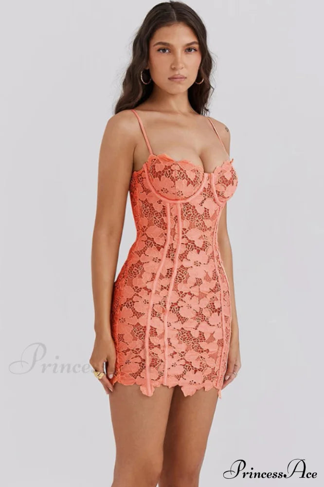 Ilayda Embroidered Charming Lace Mini Dress